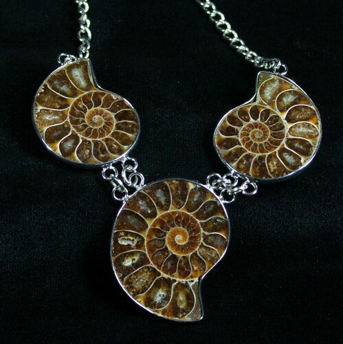 Triple Ammonite Fossil Necklace #4620